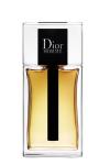 Dior Homme Eau de Toilette 100 ml Erkek tester Man